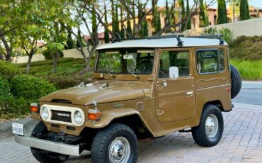 Toyota-FJ-Cruiser-1978-6