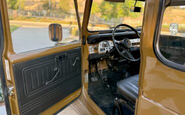 Toyota-FJ-Cruiser-1978-7