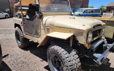 Toyota-Land-Cruiser-1969-3