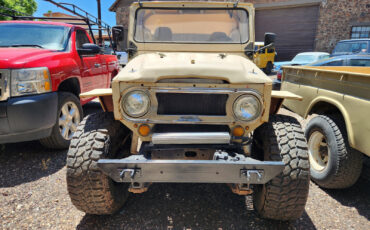 Toyota-Land-Cruiser-1969-8