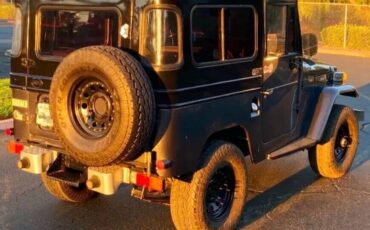 Toyota-Land-Cruiser-1970-SUV-8