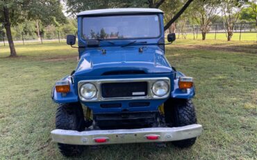 Toyota-Land-Cruiser-1979-16