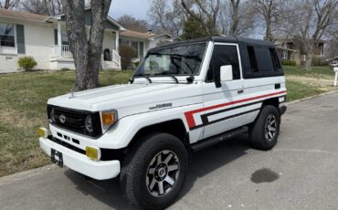 Toyota-Land-Cruiser-1995-Coupe-1