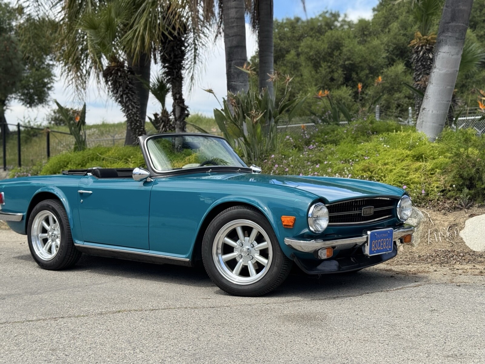 Triumph-TR-6-1975-Convertible-10