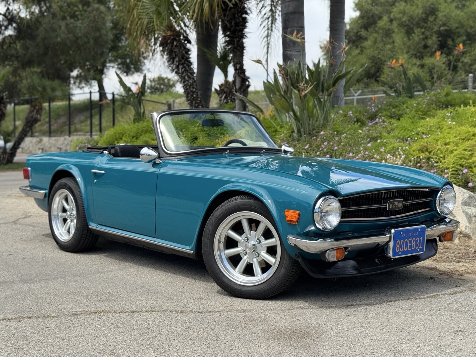 Triumph-TR-6-1975-Convertible-11