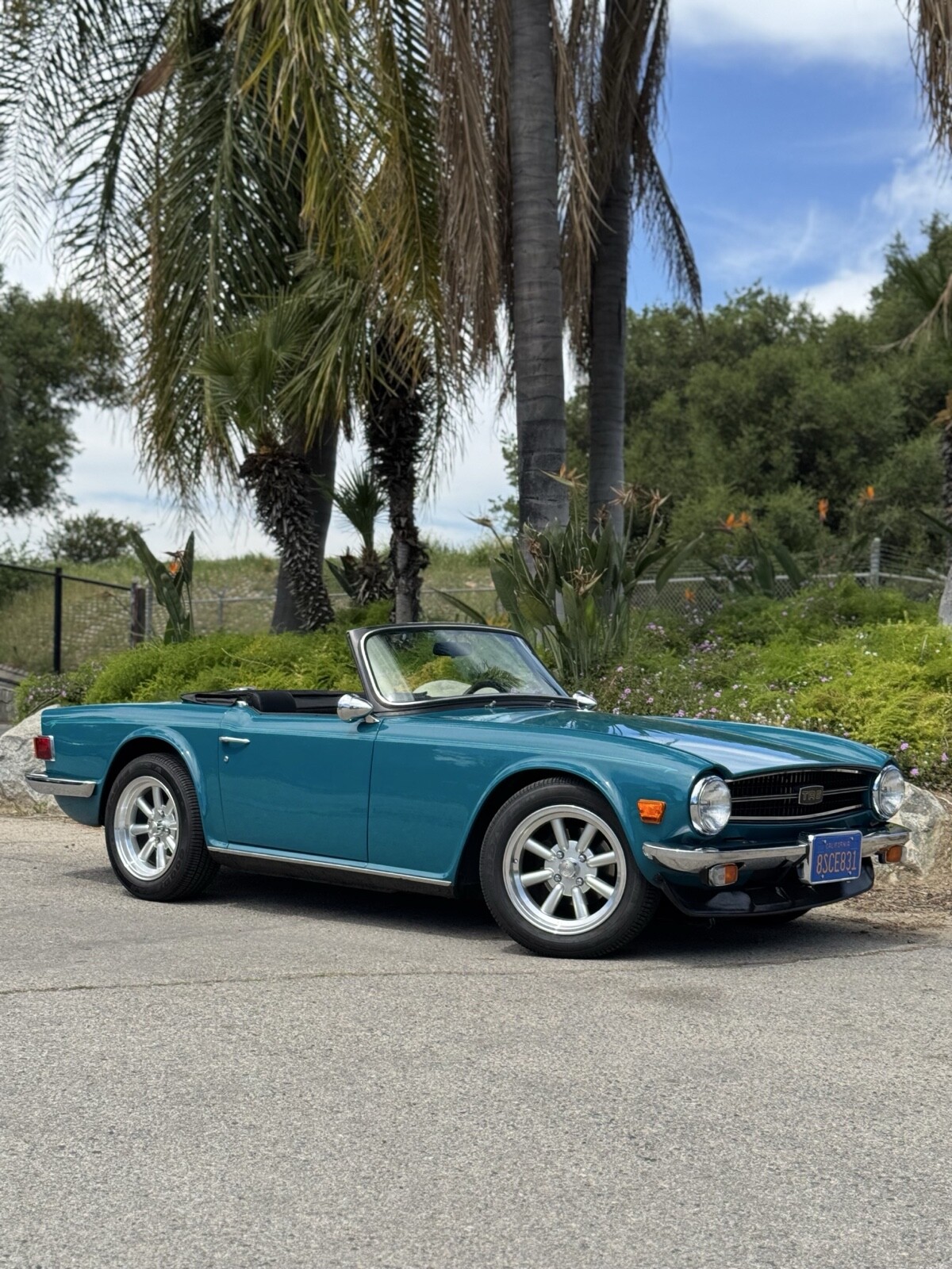 Triumph-TR-6-1975-Convertible-12