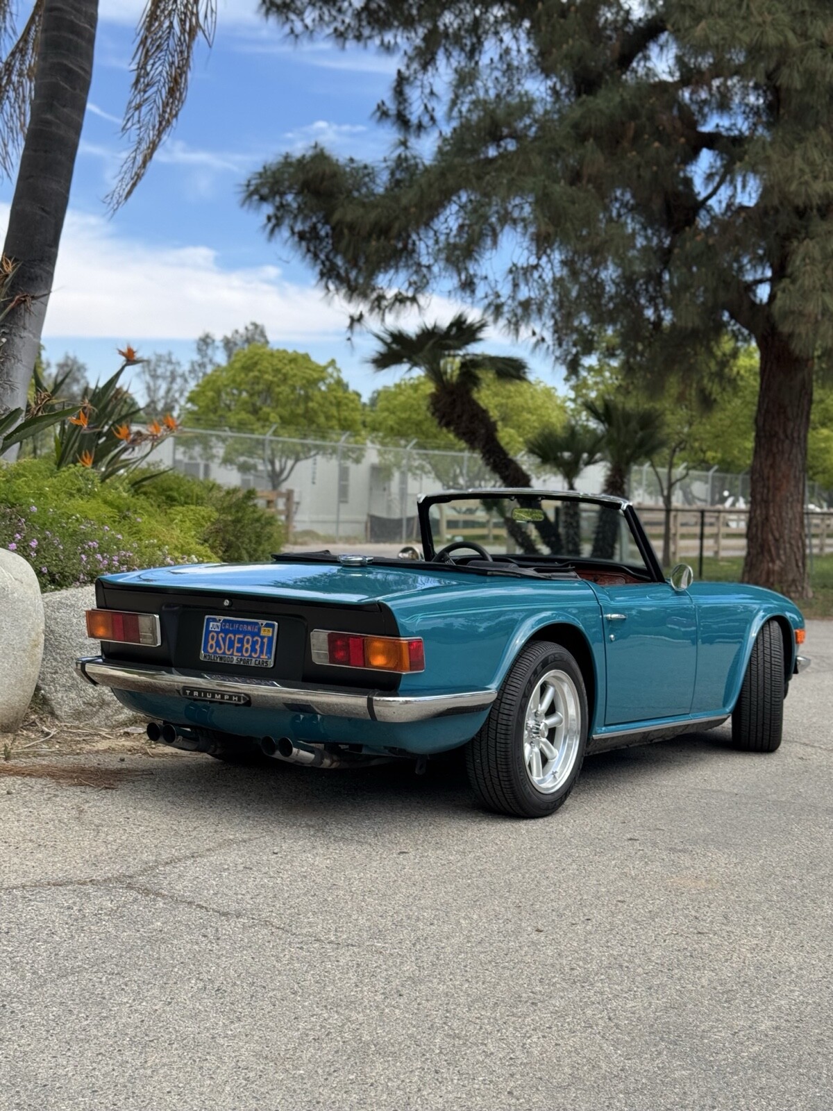 Triumph-TR-6-1975-Convertible-19