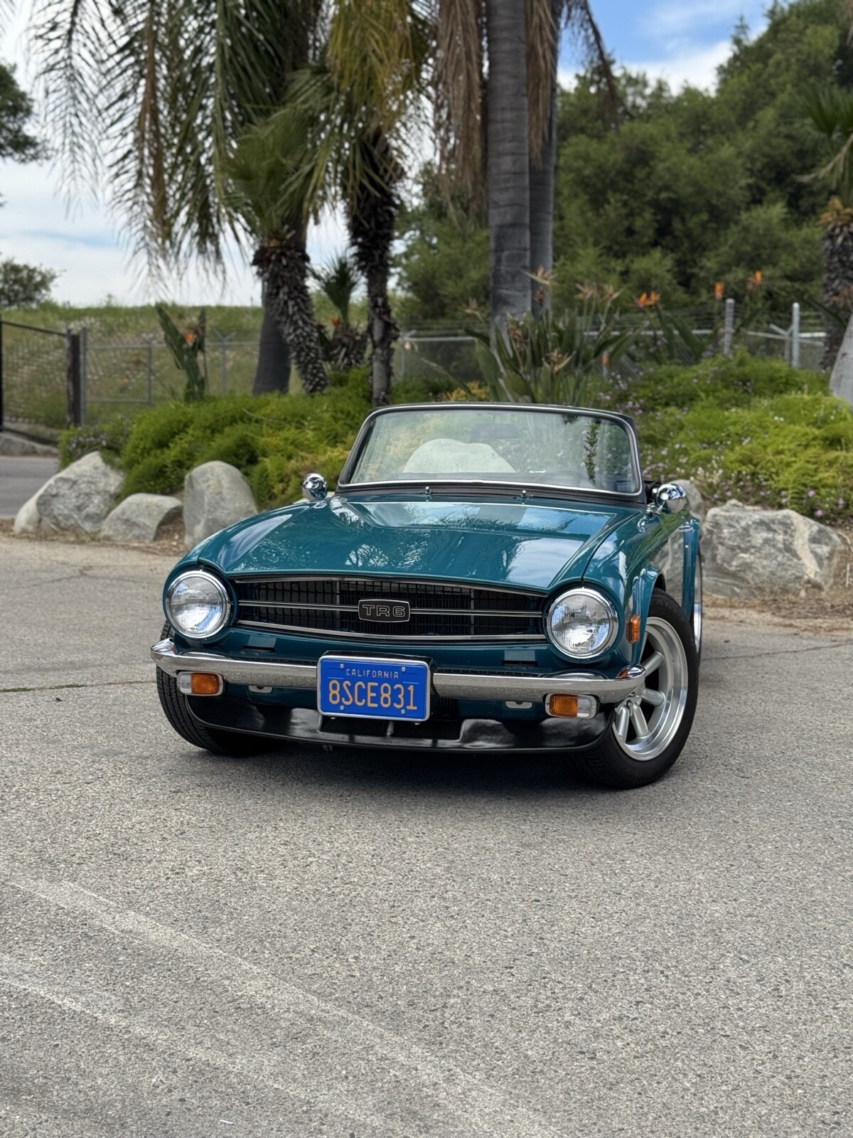 Triumph-TR-6-1975-Convertible-23
