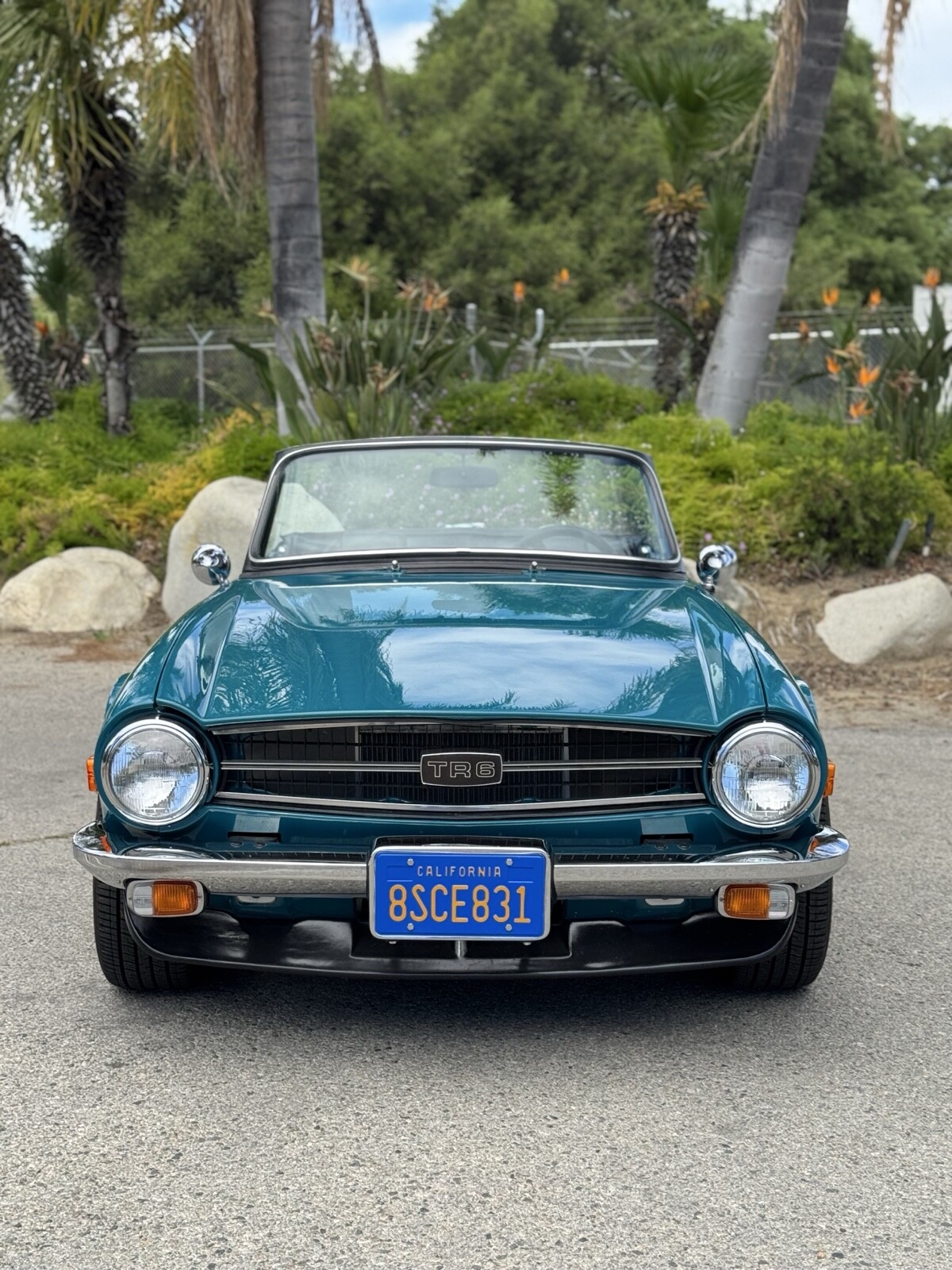Triumph-TR-6-1975-Convertible-27