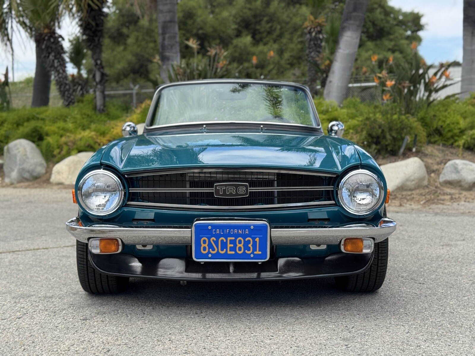 Triumph-TR-6-1975-Convertible-29