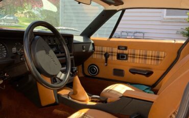 Triumph-TR-7-1978-7