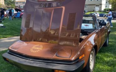Triumph-TR7-1980-Convertible-15