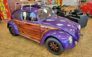 Volkswagen-BUG-1970-3