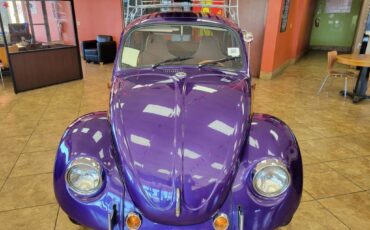 Volkswagen-BUG-1970-4