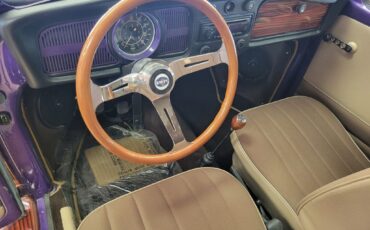 Volkswagen-BUG-1970-9