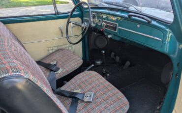 Volkswagen-Beetle-1966-green-10