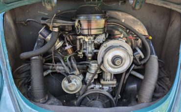 Volkswagen-Beetle-1966-green-19
