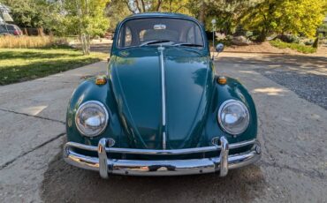 Volkswagen-Beetle-1966-green