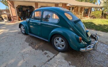 Volkswagen-Beetle-1966-green-5