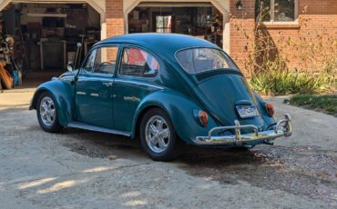 Volkswagen-Beetle-1966-green-6