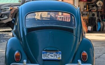 Volkswagen-Beetle-1966-green-7
