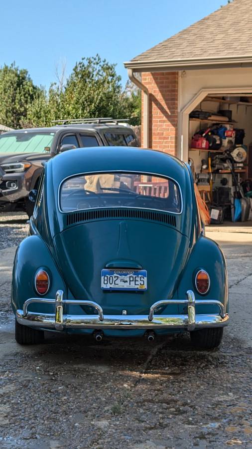 Volkswagen-Beetle-1966-green-7