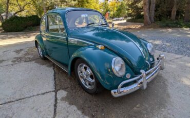 Volkswagen-Beetle-1966-green-9