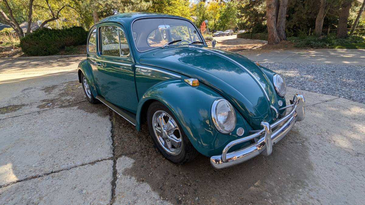 Volkswagen-Beetle-1966-green-9