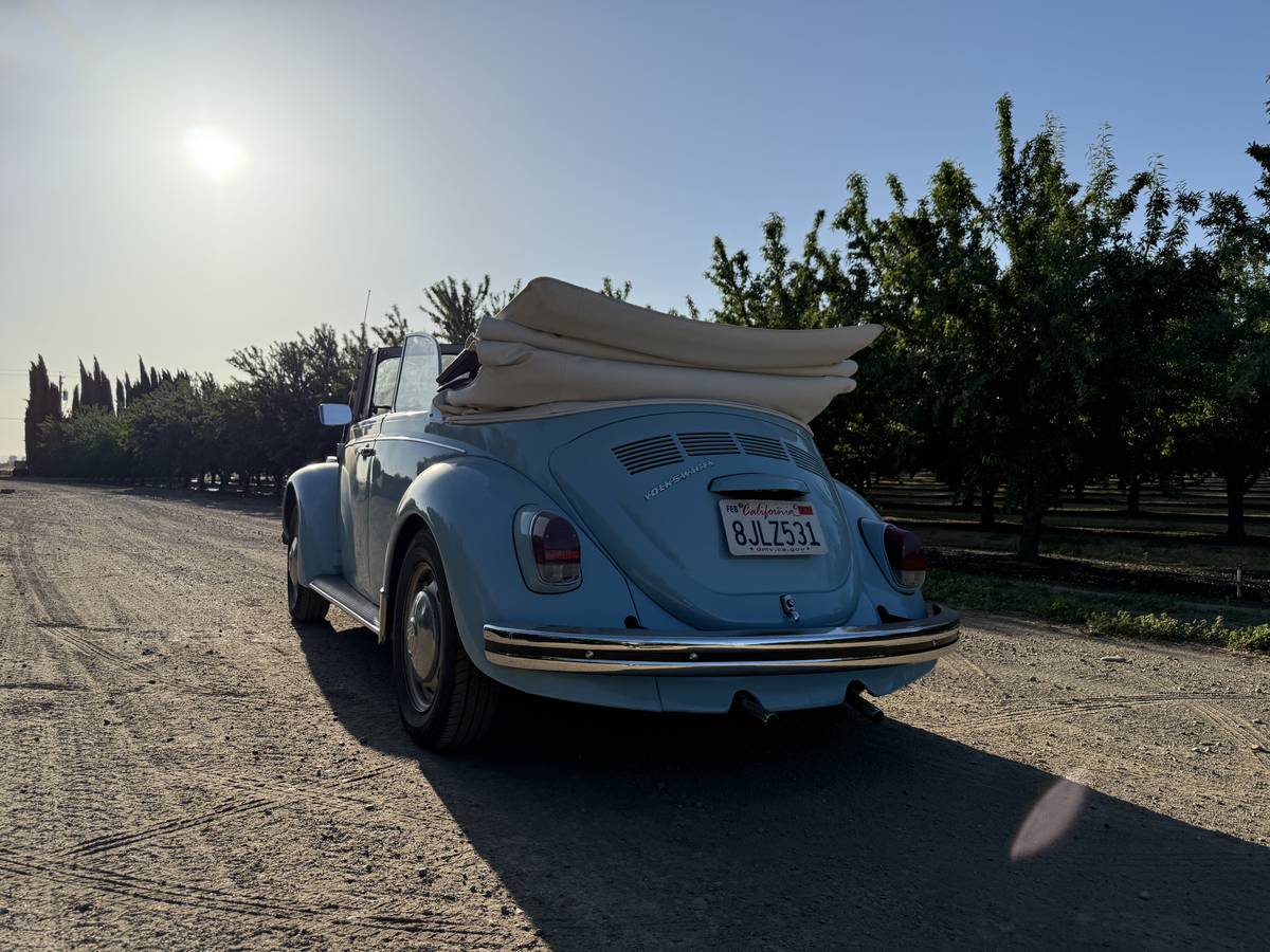 Volkswagen-Beetle-1968-3