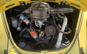 Volkswagen-Beetle-1969-3