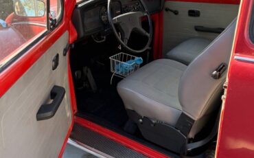 Volkswagen-Beetle-1973-4