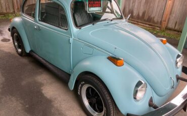 Volkswagen-Beetle-1974-blue-14