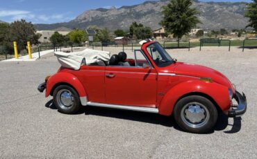 Volkswagen-Beetle-1979-red-13
