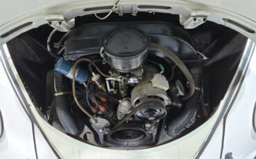 Volkswagen-Beetle-Classic-1959-Coupe-11