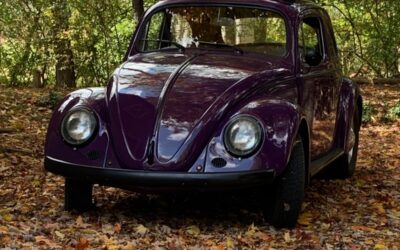 Volkswagen Beetle - Classic 1963 Ragtop