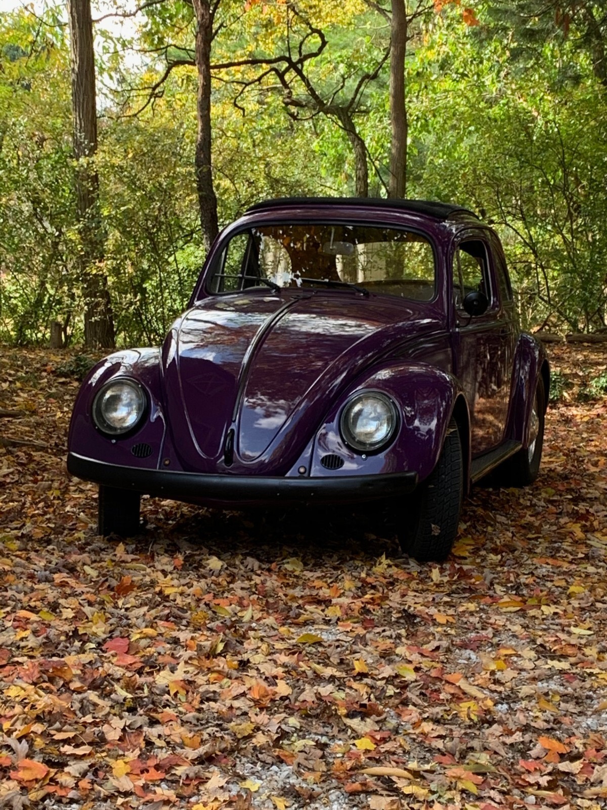Volkswagen Beetle - Classic 1963 Ragtop