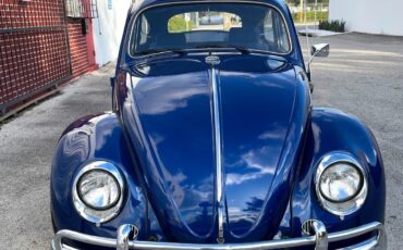 Volkswagen-Beetle-Classic-1964-Coupe-1