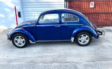 Volkswagen-Beetle-Classic-1964-Coupe-3