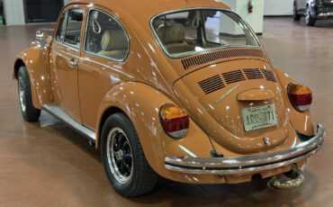 Volkswagen-Beetle-Classic-1965-Coupe-2