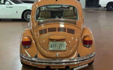 Volkswagen-Beetle-Classic-1965-Coupe-3