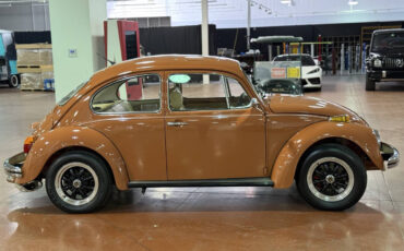 Volkswagen-Beetle-Classic-1965-Coupe-5