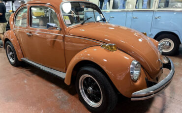 Volkswagen-Beetle-Classic-1965-Coupe-6