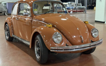 Volkswagen-Beetle-Classic-1965-Coupe-7