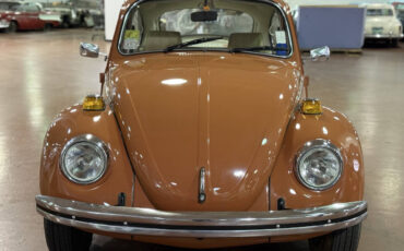 Volkswagen-Beetle-Classic-1965-Coupe-8