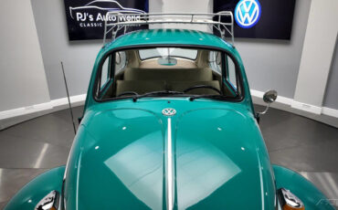 Volkswagen-Beetle-Classic-1966-10