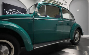 Volkswagen-Beetle-Classic-1966-15
