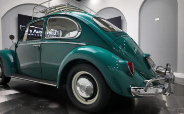 Volkswagen-Beetle-Classic-1966-21