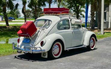 Volkswagen-Beetle-Classic-1966-Sedan-20