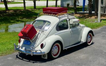 Volkswagen-Beetle-Classic-1966-Sedan-21
