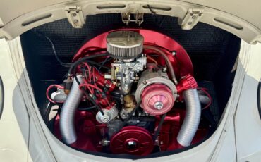 Volkswagen-Beetle-Classic-1966-Sedan-4